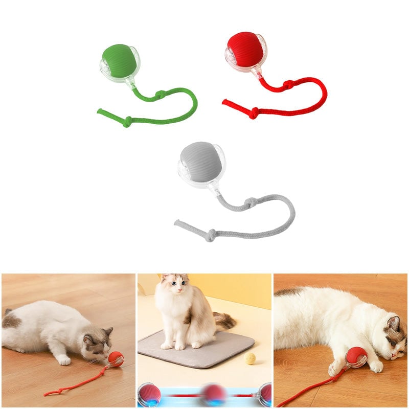 Bola interactiva para gatos de interior