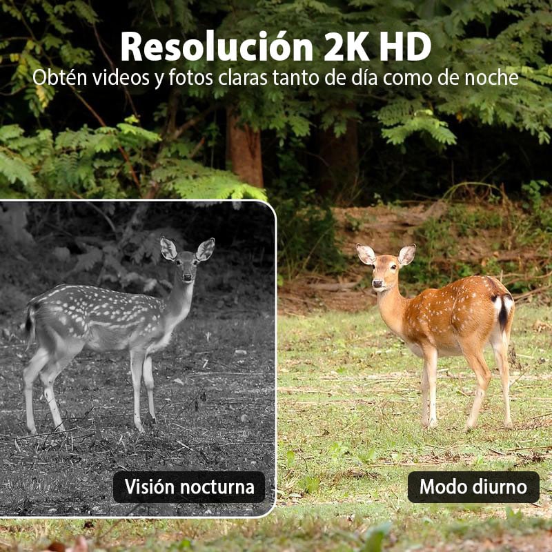 Cámara solar de camuflaje