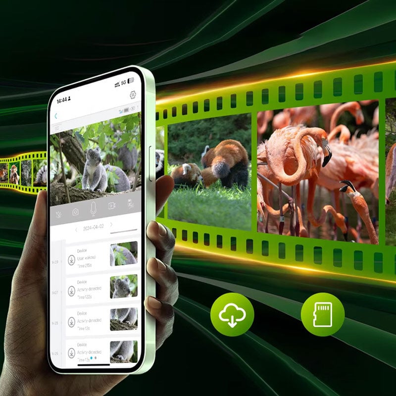 Cámara solar de camuflaje