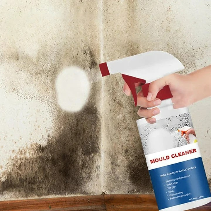 Espuma limpiadora de moho