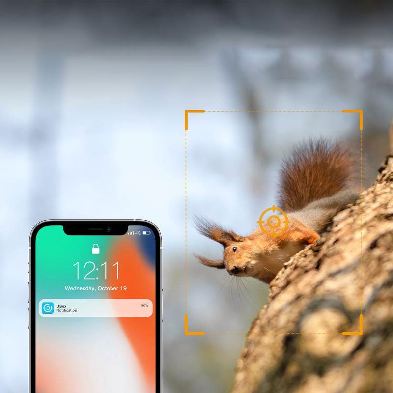 Cámara solar de camuflaje