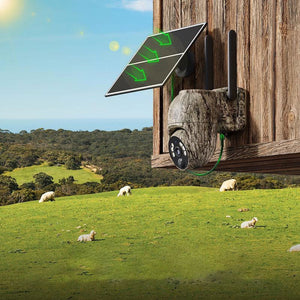 Cámara solar de camuflaje