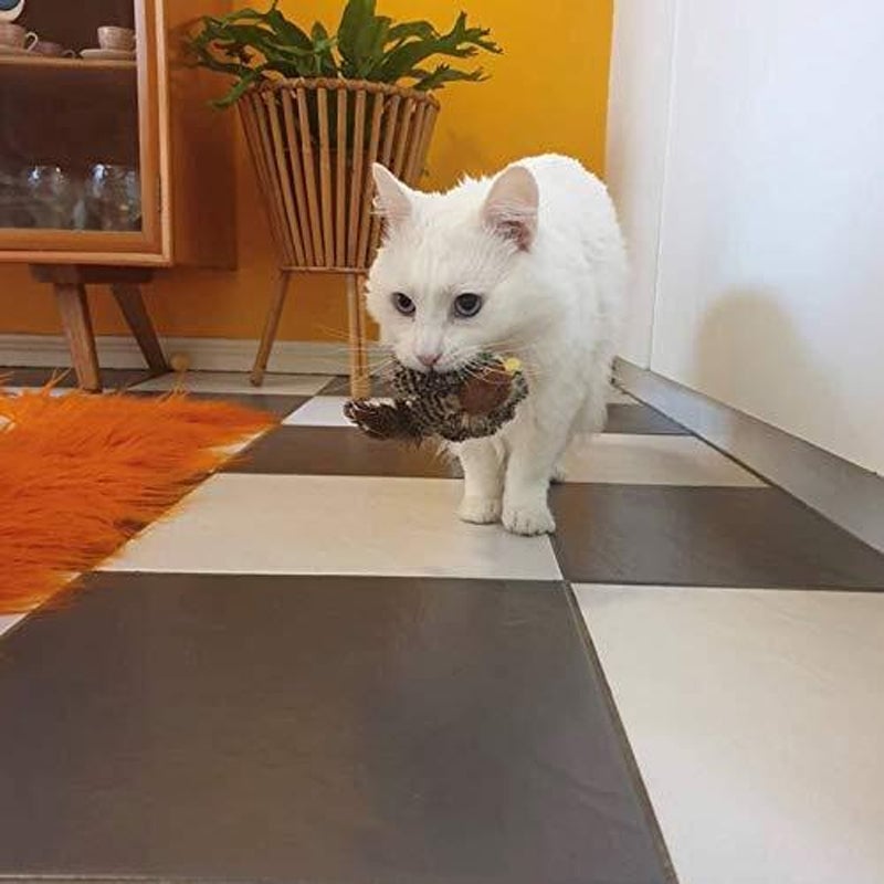 Pájaro simulado con canto