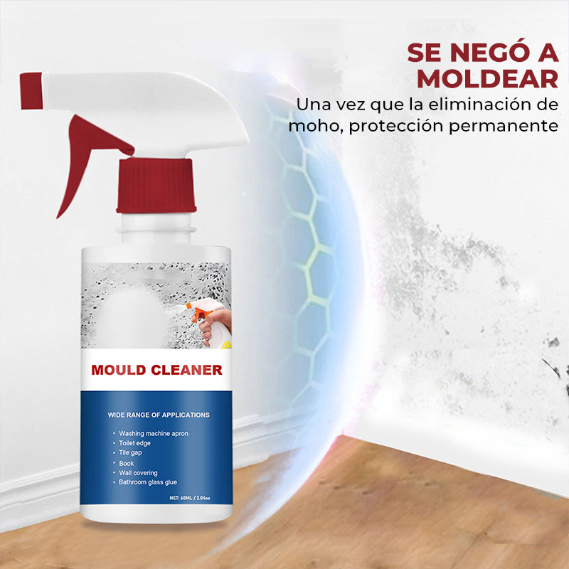 Espuma limpiadora de moho