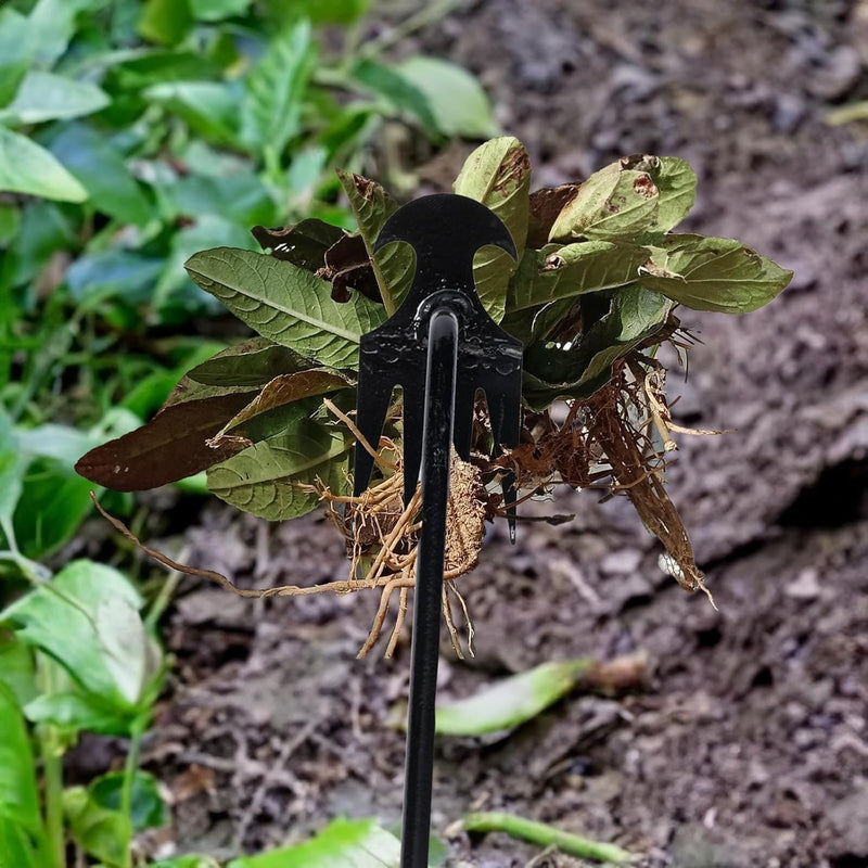 Herramienta para arrancar malas hierbas