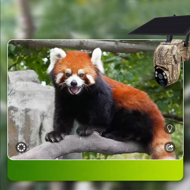 Cámara solar de camuflaje