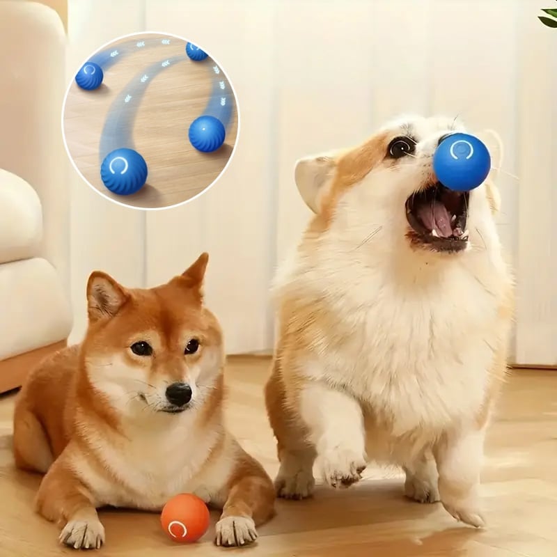 Juguete Eléctrico de Pelota Rodante para Mascotas
