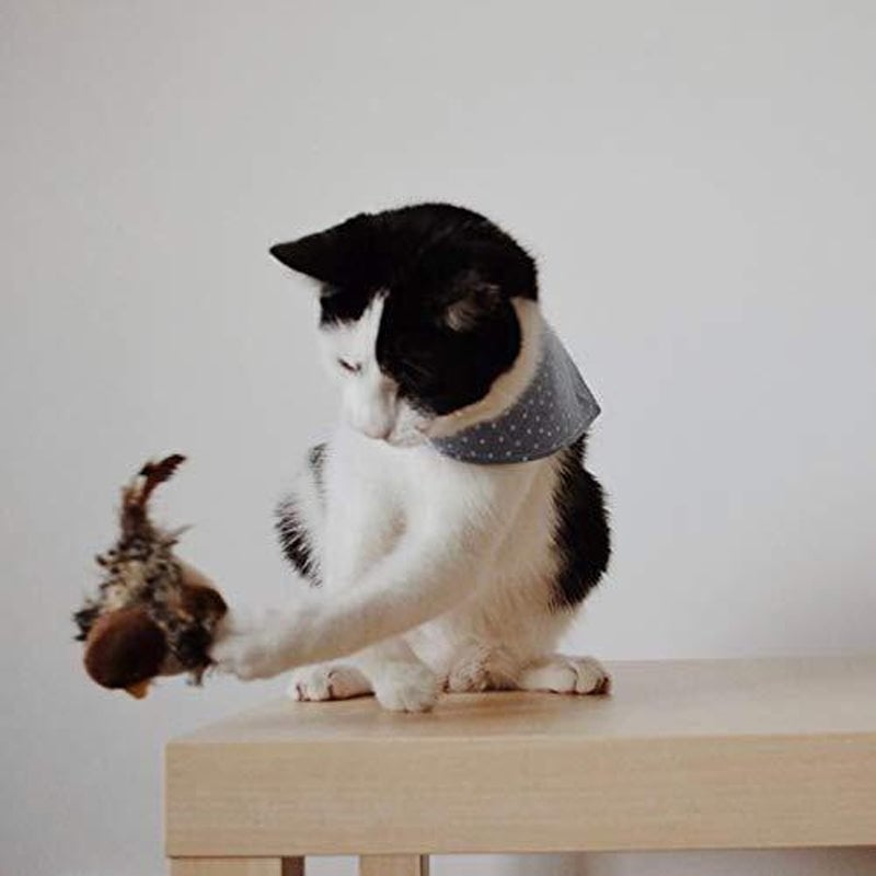 Pájaro simulado con canto