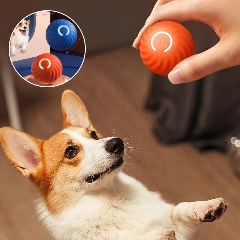 Juguete Eléctrico de Pelota Rodante para Mascotas