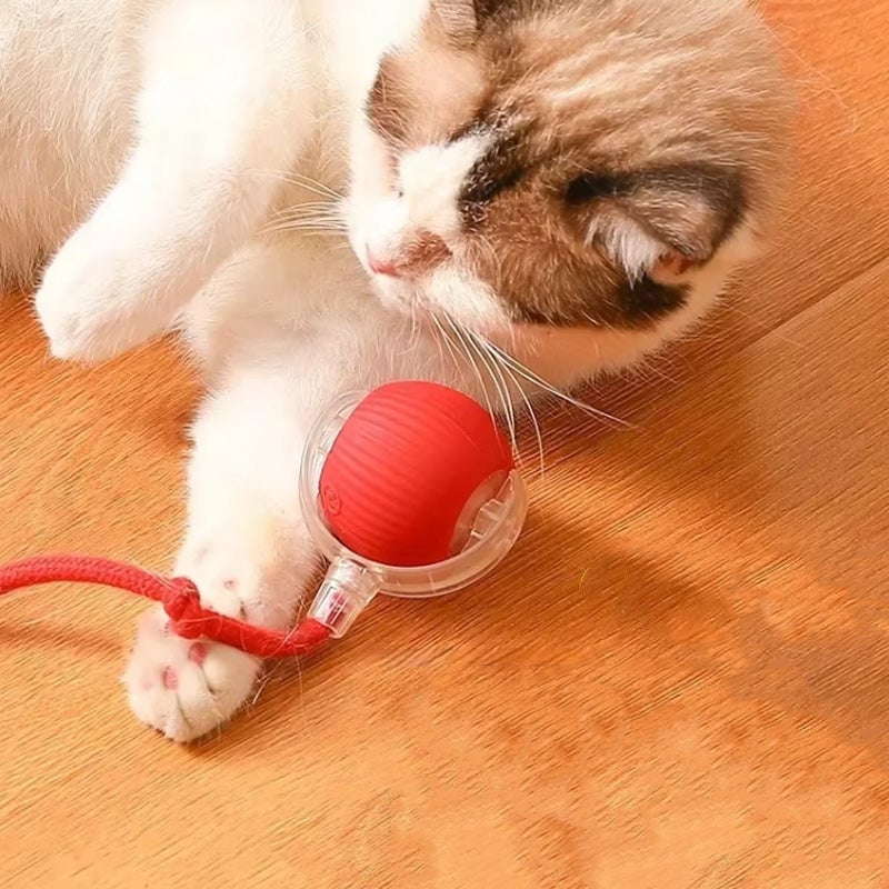 Bola interactiva para gatos de interior