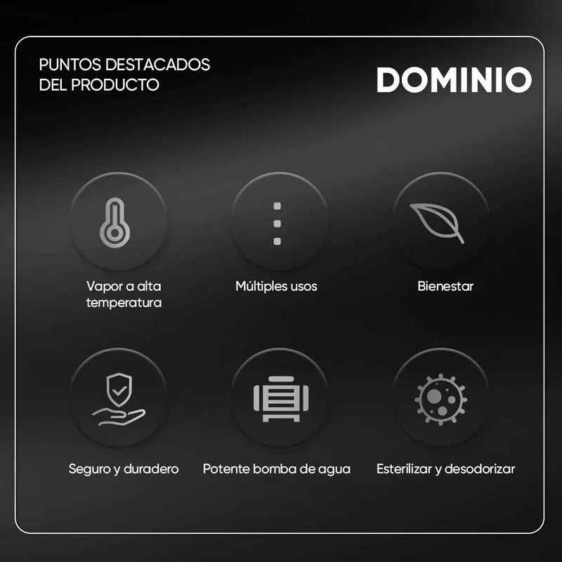 Limpiador de Desinfección por Vapor