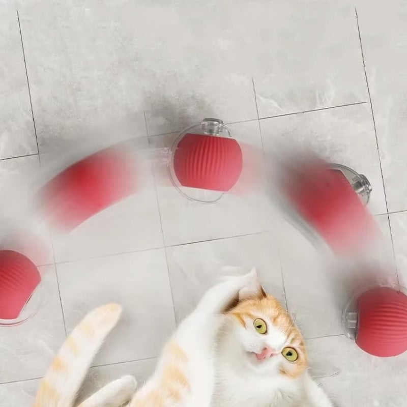 Bola interactiva para gatos de interior