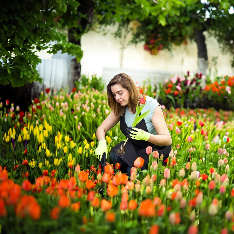 Herramienta para arrancar malas hierbas